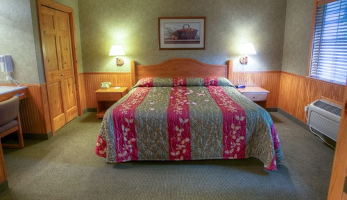 Room, 1 King Bed