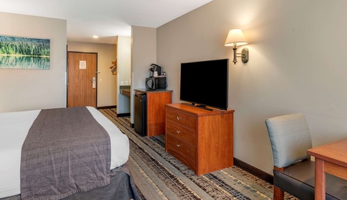 Standard Room, 1 King Bed, Non Smoking, Refrigerator & Microwave