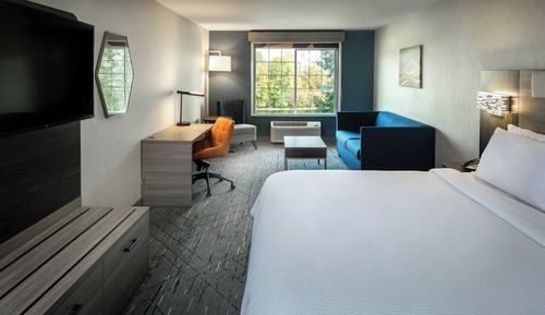 Suite, 1 King Bed with Sofa bed