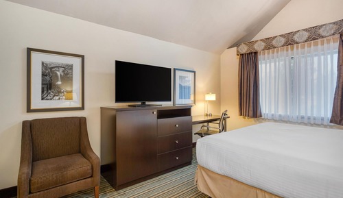 Standard Room, 1 King Bed, Non Smoking, Jetted Tub