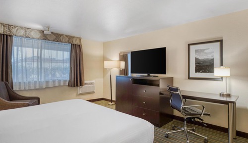 Standard Room, 1 King Bed, Accessible, Non Smoking