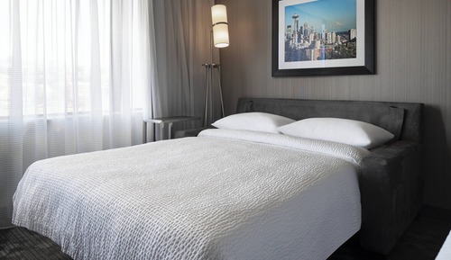 Room, 1 King Bed with Sofa bed