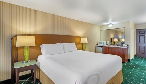 Standard Single Room, 1 King Bed