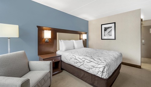 Standard Room, 1 Queen Bed, Non Smoking, Refrigerator & Microwave