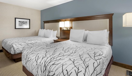 Standard Room, 2 Queen Beds, Accessible, Non Smoking