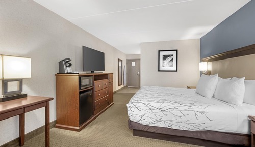 Standard Room, 1 King Bed, Accessible, Non Smoking