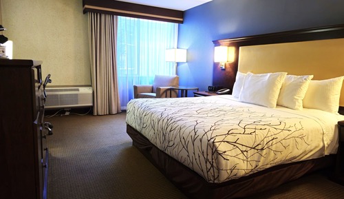 Standard Room, 1 King Bed, Accessible, Bathtub