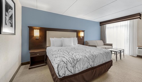 Standard Room, 1 King Bed, Refrigerator & Microwave, Courtyard View