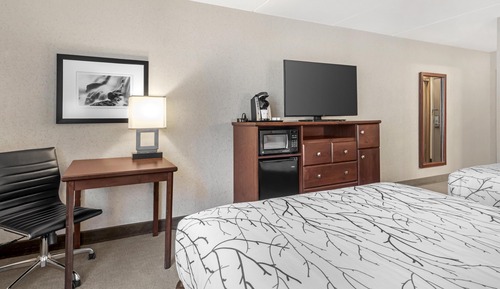 Standard Room, 2 Queen Beds, Non Smoking, Refrigerator & Microwave