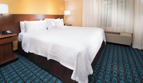 Room, 1 King Bed with Sofa bed