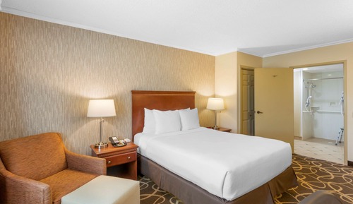 Standard Room, 1 King Bed, Non Smoking, Refrigerator & Microwave (Pet Friendly)
