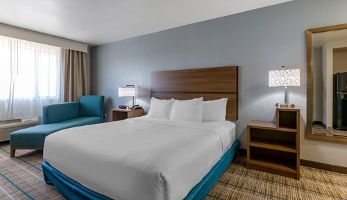 Room, 1 King Bed, Accessible, Non Smoking (Efficiency)