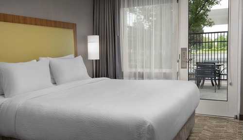 Suite, 1 King Bed with Sofa bed