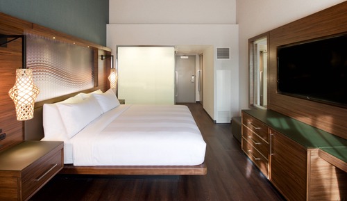 Room, 1 King Bed