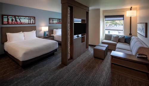 Room, 1 King Bed