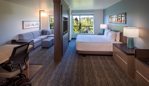 Suite, 1 King Bed with Sofa bed, Accessible (Shower)