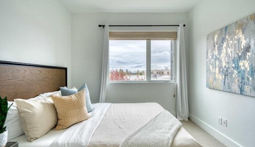 Basic Apartment