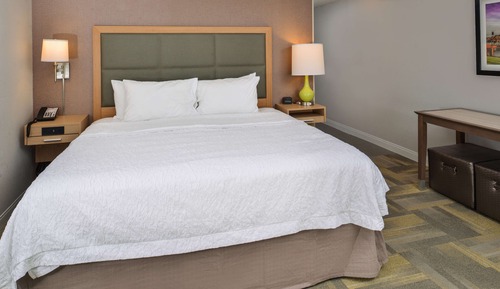 Room, 1 King Bed with Sofa bed, Non Smoking, Refrigerator & Microwave