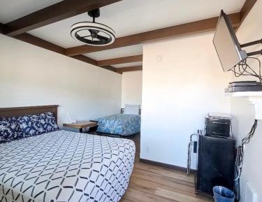 Economy Twin Room