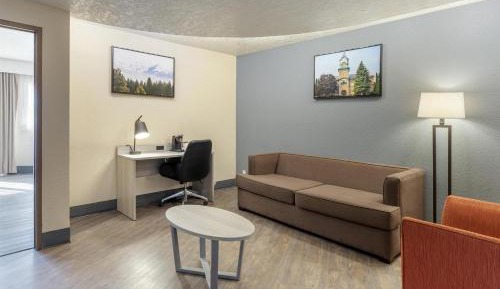 One-Bedroom King Suite