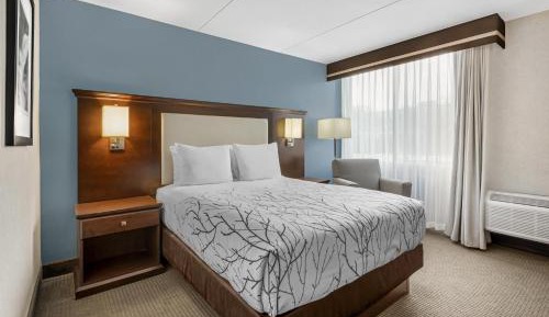 Queen Room with Bath Tub - Disability Access/Non-Smoking 