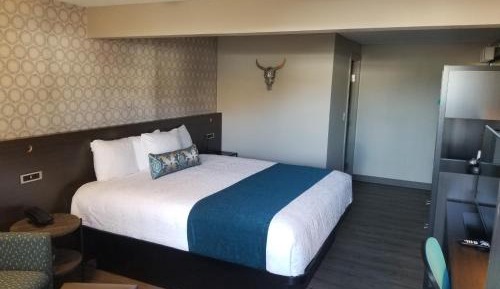 King Room - Non-Smoking
