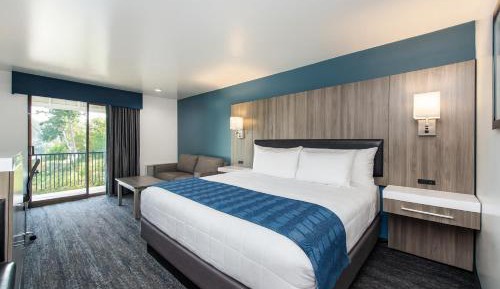 Deluxe King Room