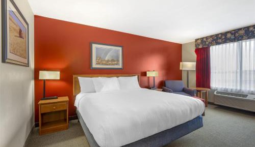 King Room with Roll-in Shower - Disability Access/Non-Smoking