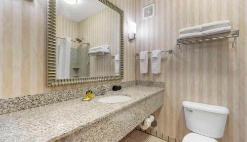 Mini King Suite - Non-Smoking