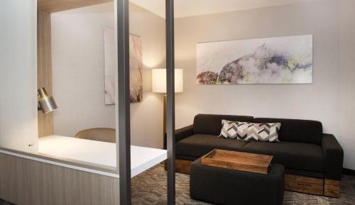 King Suite with Bathtub and Trundle Sofa - Mobility Access/Hearing Accessible