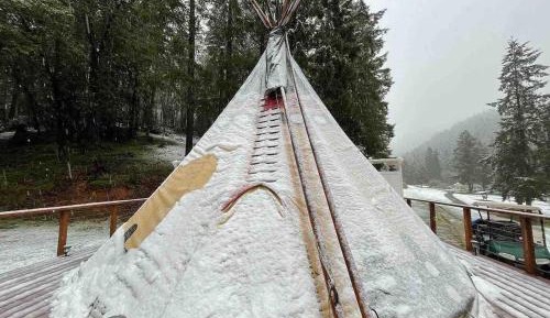 Tent