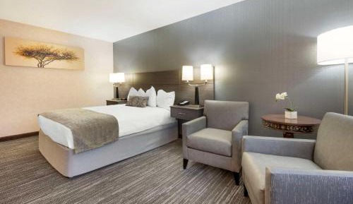 Queen Room with Bath Tub - Mobility Accessible/Non-Smoking