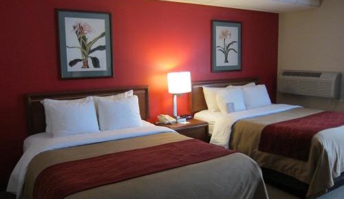 Queen Room with Two Queen Beds - Non-Smoking
