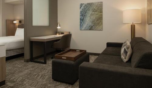 King Suite with Trundle Sofa