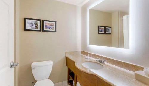 King Room - Non-Pet Friendly