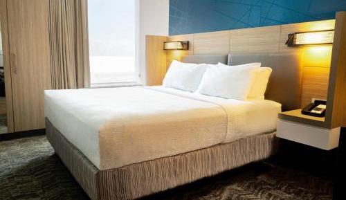 Suite, 1 King, Trundle bed