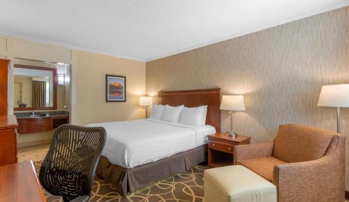 King Room with Courtyard View - Pet Friendly/Non-Smoking