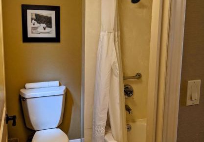 King Room - Pet-Friendly