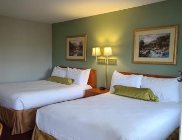 Two Queen Beds room