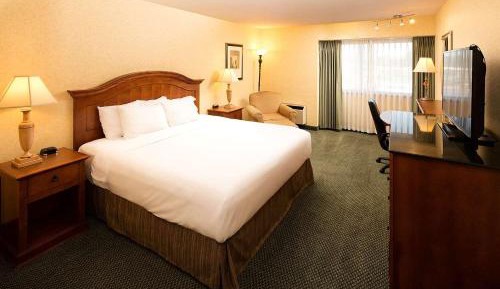 Premium King Room