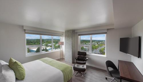 Accessible One Bedroom Suite, Tub Shower