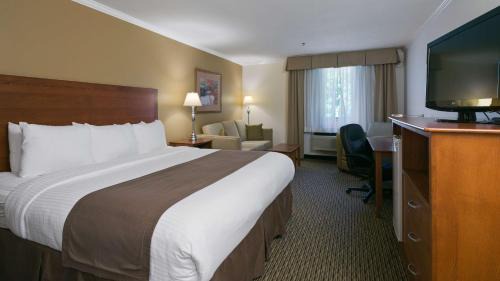 King Room - Pet-Friendly