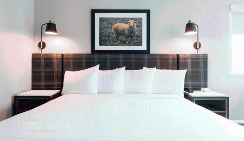 King Room