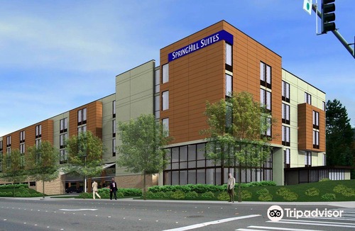 Issaquah Hotel | SpringHill Suites by Marriott Seattle Issaquah