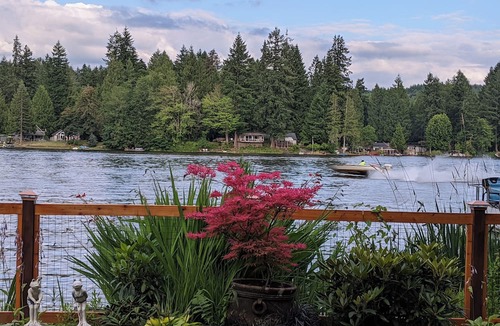 Eatonville House | Experience upscale cabin living at Wolf Lodge our rustic, lakeside retreat!